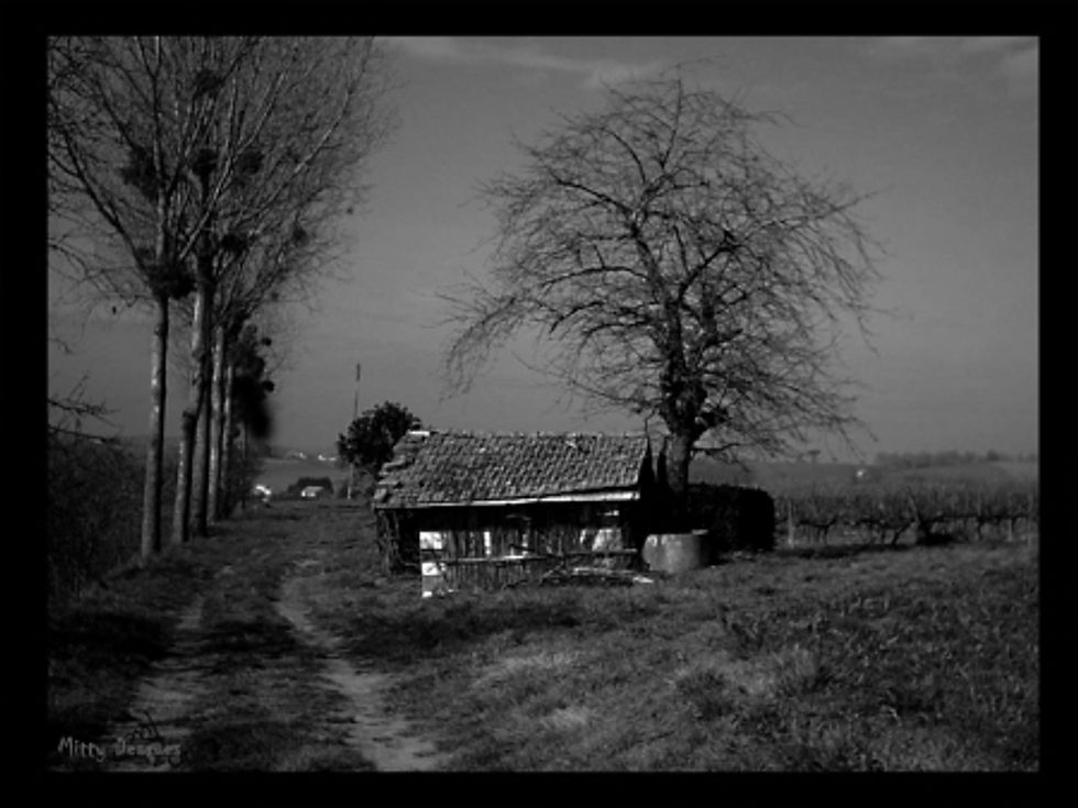 Cabane
