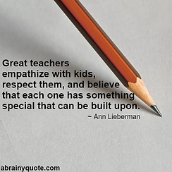 Ann Lieberman quote .png