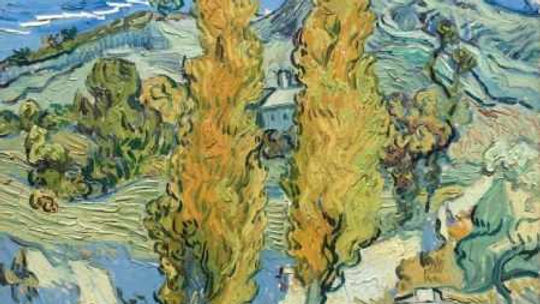 As Árvores Também Falam: O Diálogo