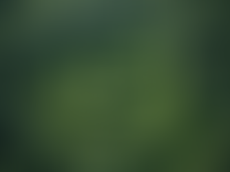 Empowering Sustainable Actions: Join On My Way Today