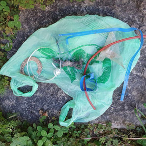 Récoltés sur des chemins de la Drôme, par Michèle 3 juil.jpg