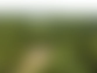 Finding God in Nature