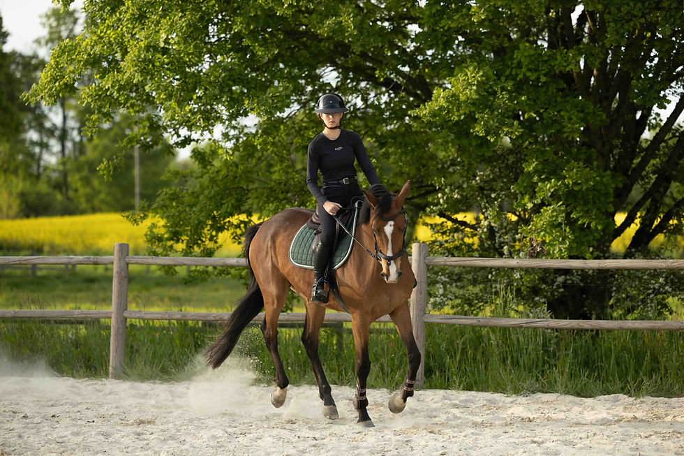 Margot Comtet - remise en route - chevaux - marboz.jpeg