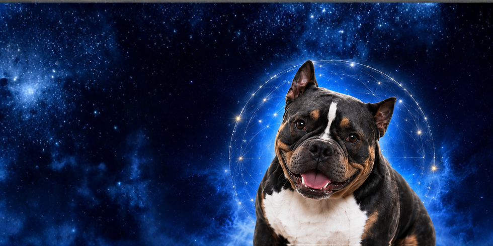Mystic Landing page photo for funnel (1).png
