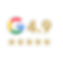 ZZ Google Review Icon.png