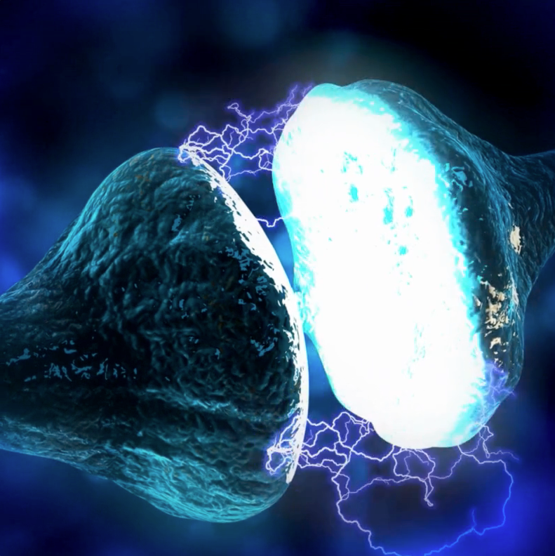 ZZ CELLS CHARGING.png