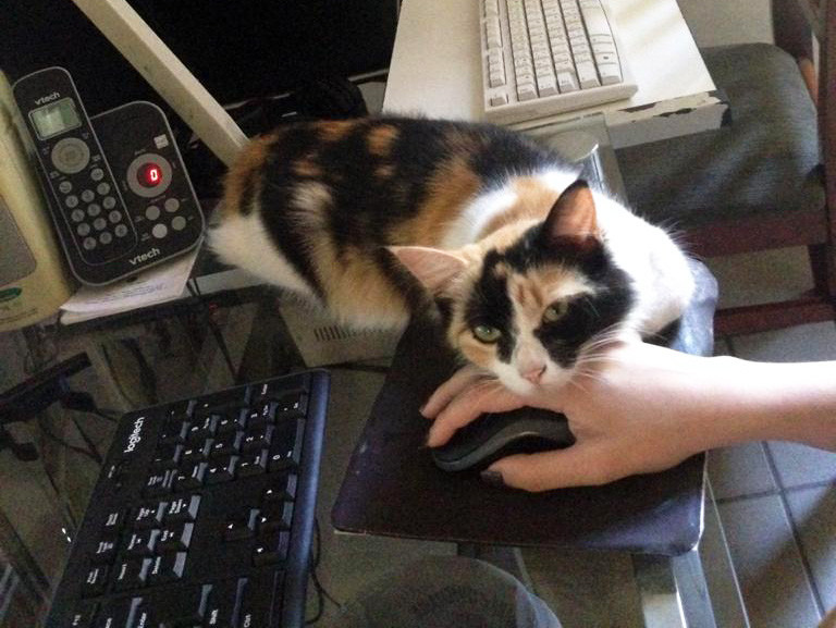 Amora está trabalhando demais