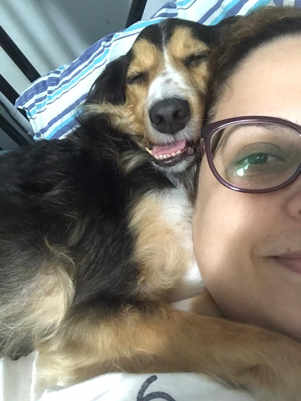 Cachorro relaxado com a boquinha aberta