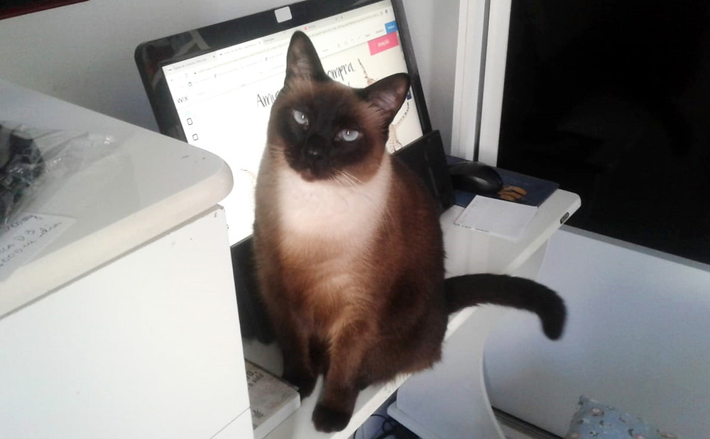 Luna no home office