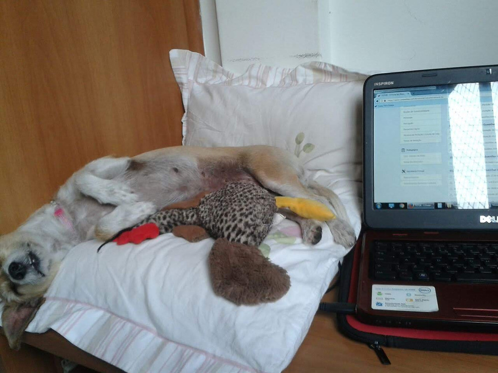 Home Office