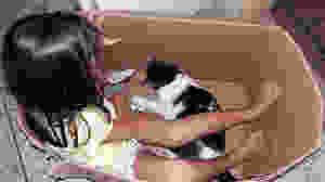 Criança com gato