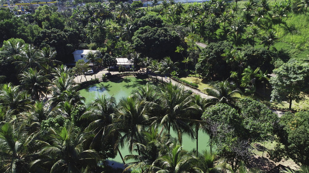 Centro Ecológico Projeto Caiman, Vitória-ES