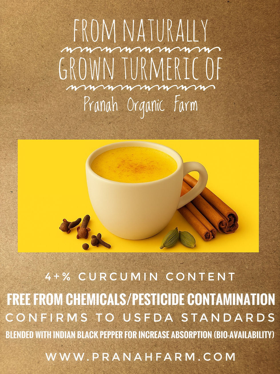 Thumbnail: Instant Turmeric Latte Powder (60/120gm)