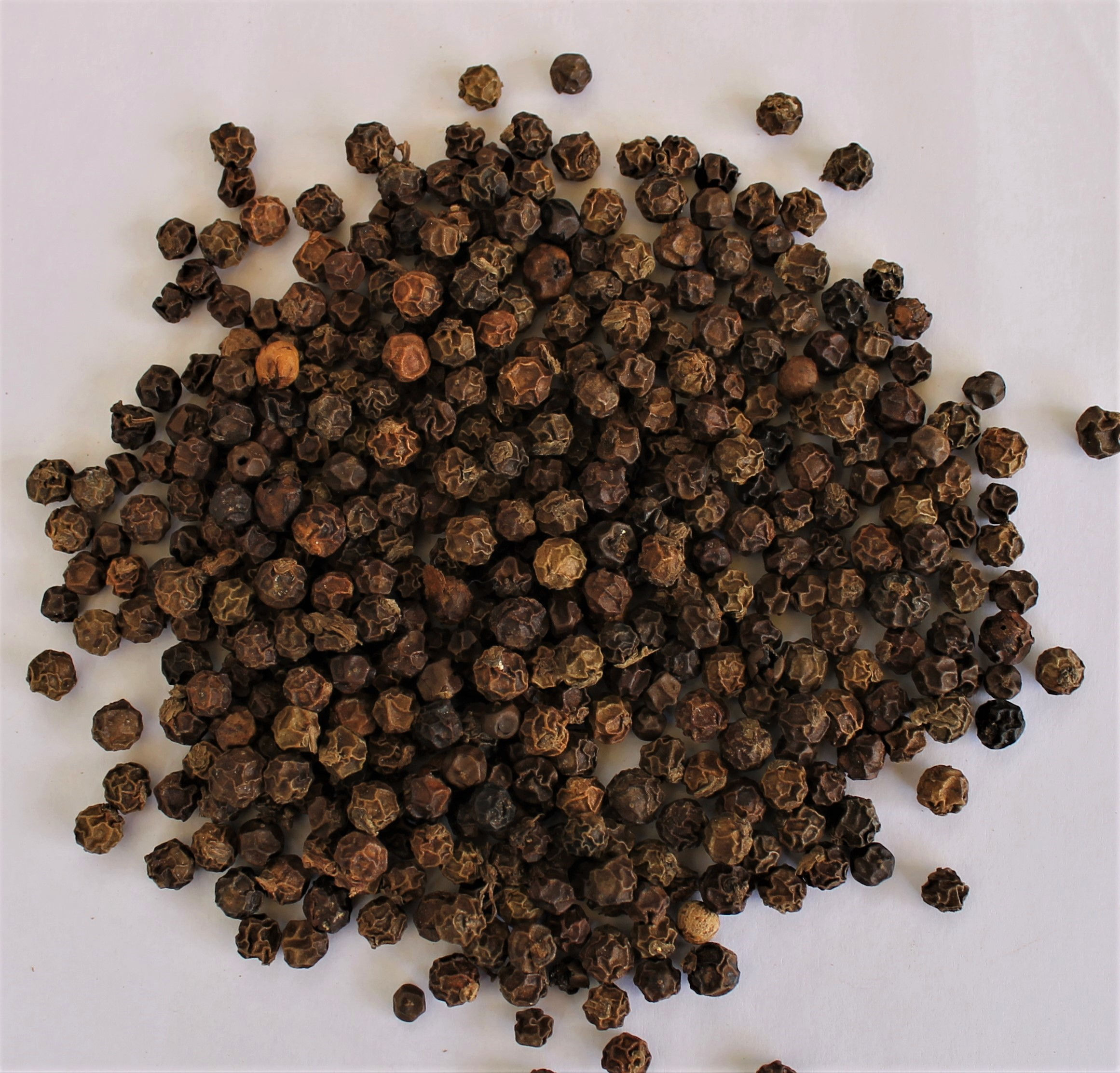 Farm Fresh Black Pepper--100gm