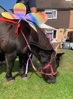 pony party horse with fairy wings