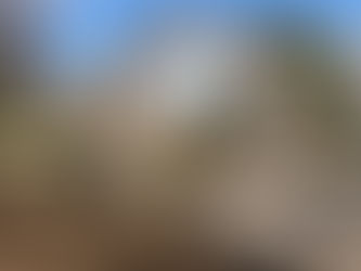 Easter Message from Fr. John