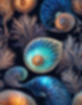 Nautilus Shells