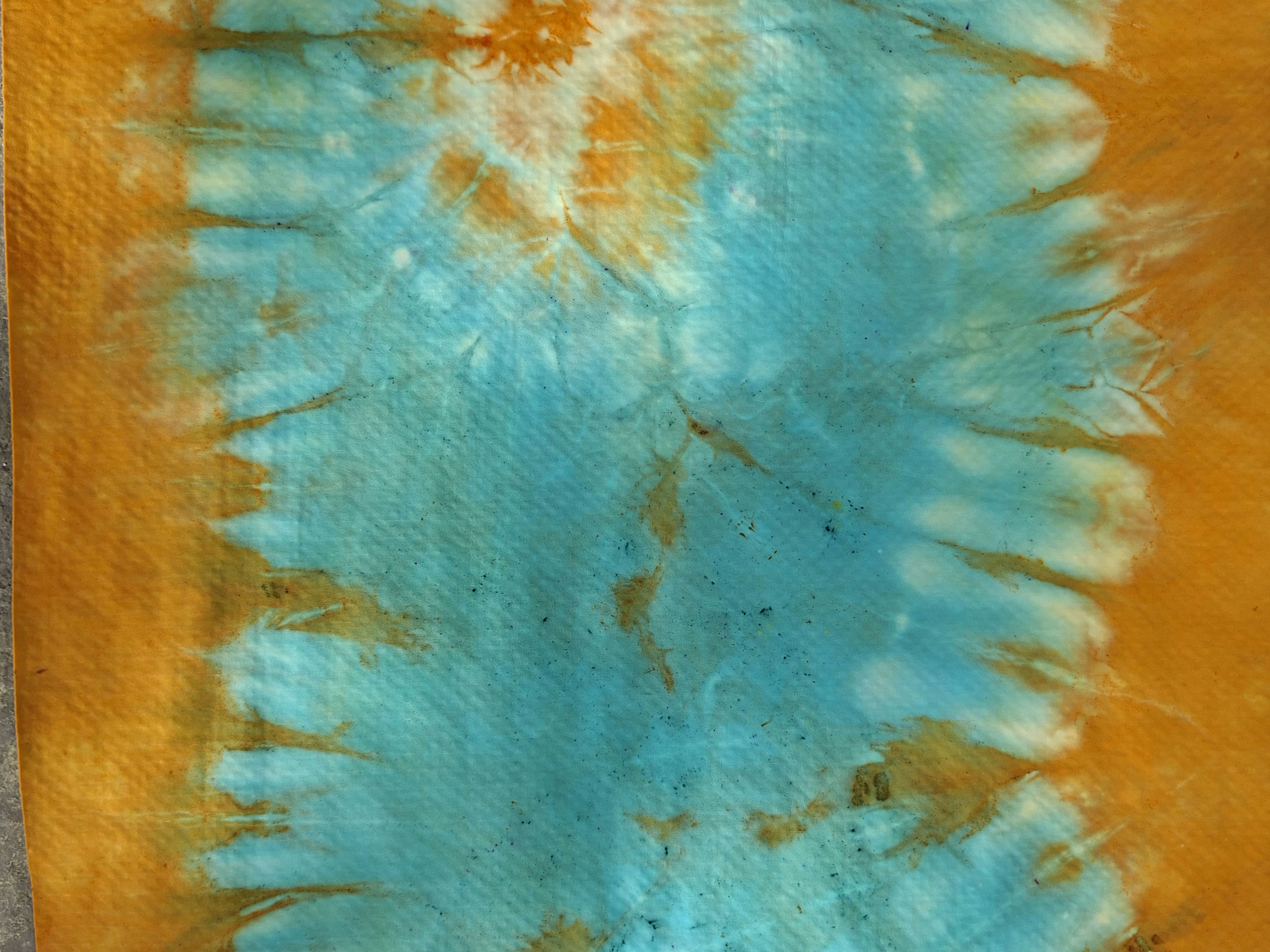 Copy of SMALL DIVING SHAMMY ORANGE AND AQUA