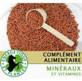 Promine Chevaux