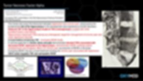 TNF2ppt.PNG