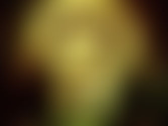 Au commencement était le verbe (et juste après la couverture)