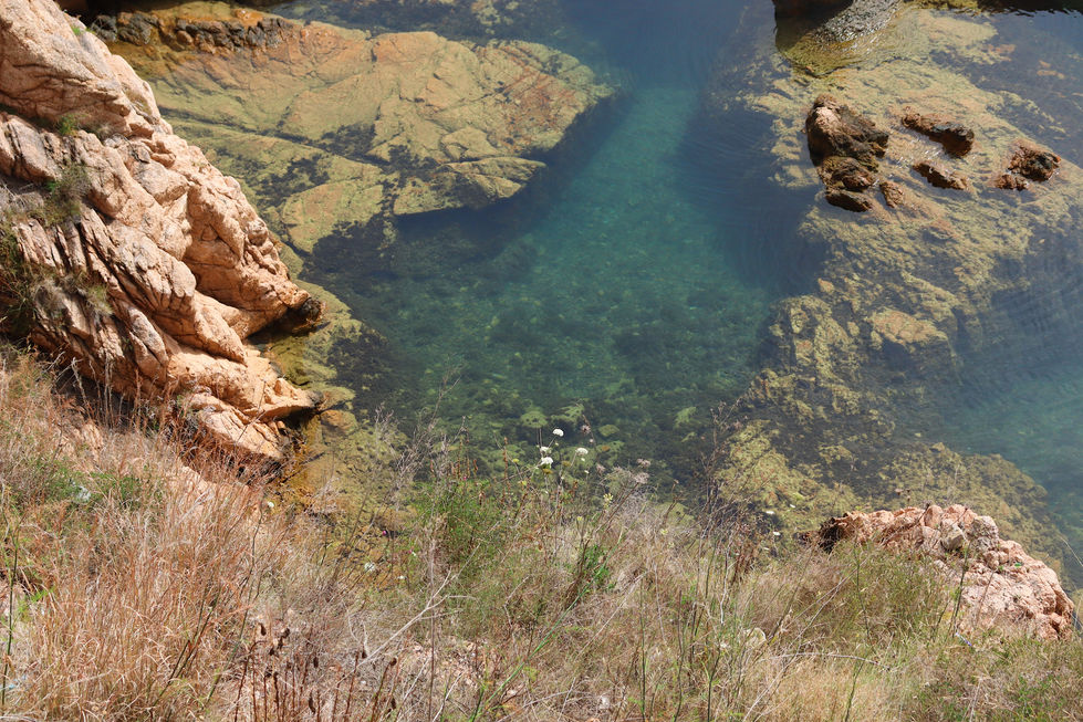 1B5CB39D-BCB1-4D8C-9CA4-531FA9DB2416