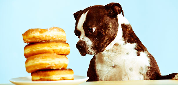 apcc_people-foods-to-avoid_main-image.jpeg