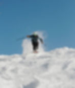 858CEF95-F745-4D01-9577-7735FA2BFB2D 3_edited.jpg