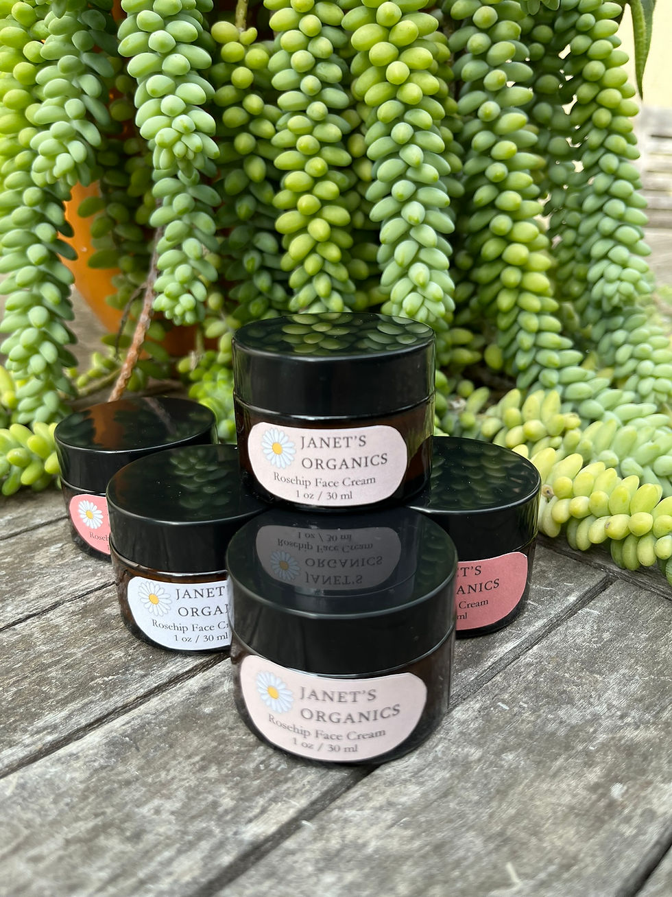 Thumbnail: Rosehip Face Cream - 1 oz