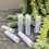 Thumbnail: Group of Buttery Lip Balms to left of succulent