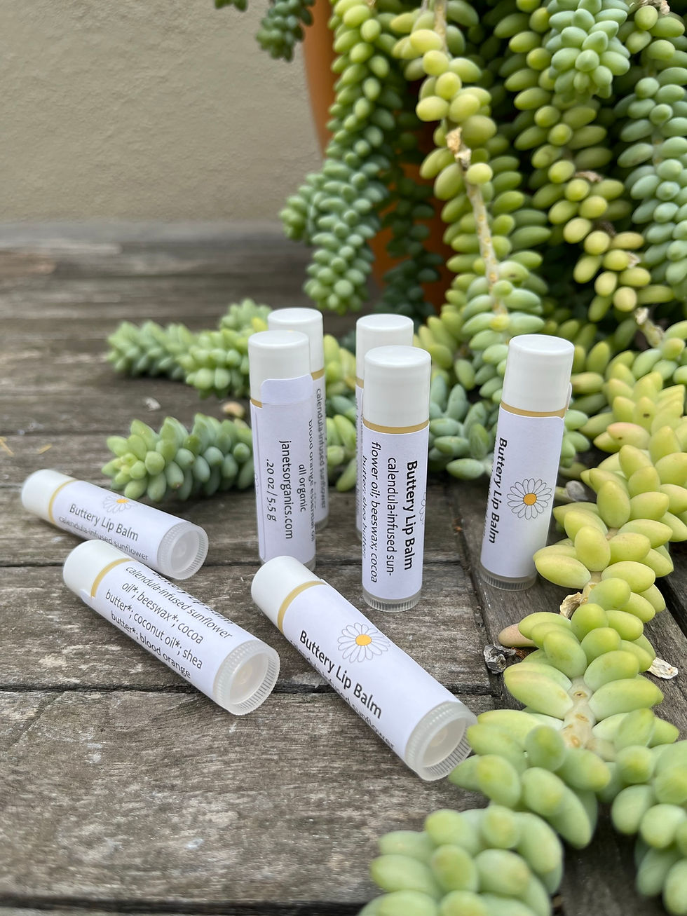 Thumbnail: Group of Buttery Lip Balms to left of succulent