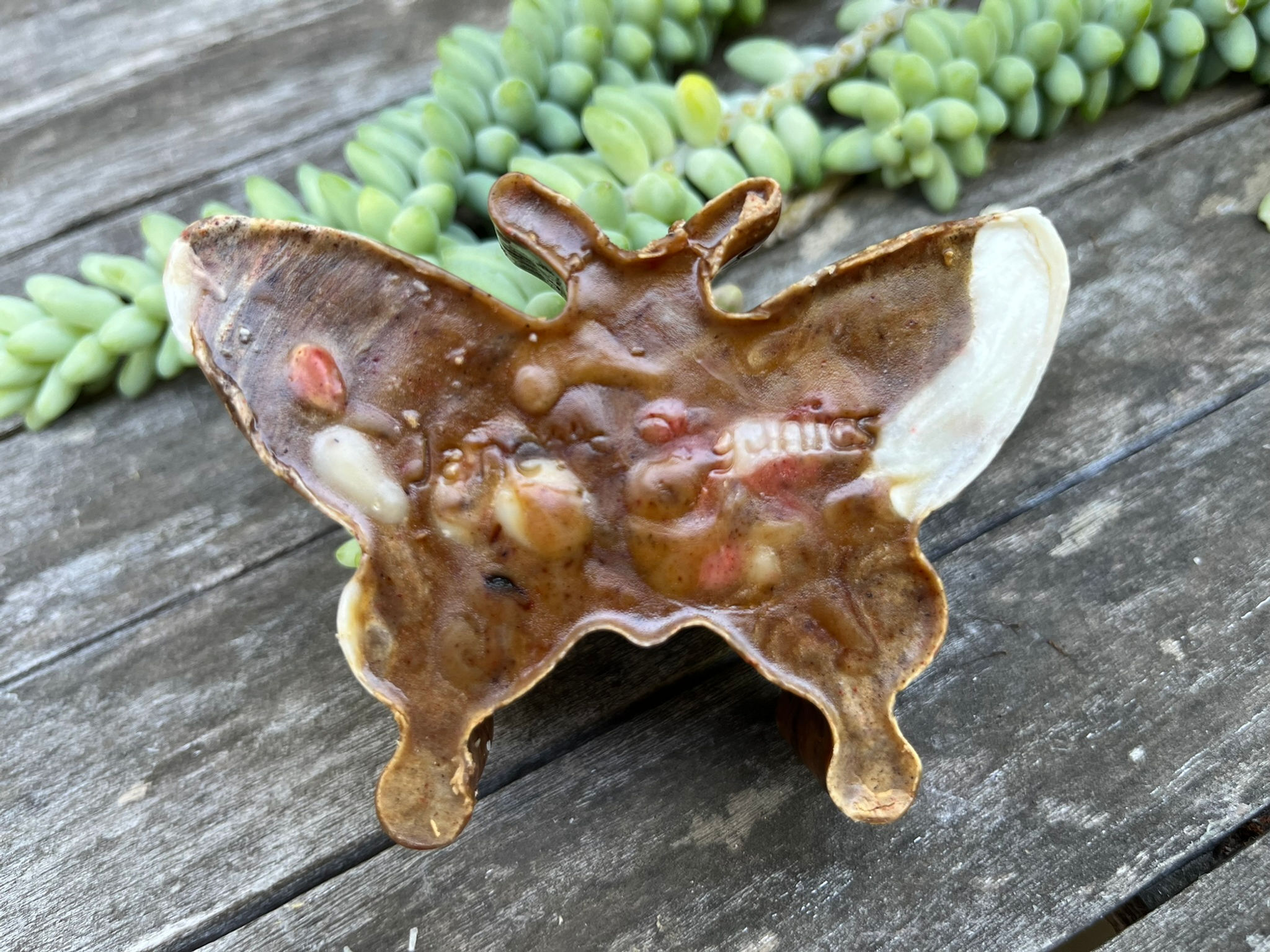 Brown Butterfly Soap