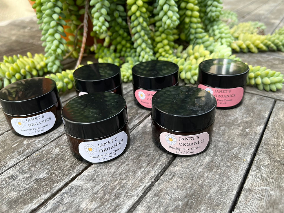 Thumbnail: Rosehip Face Cream - 1 oz