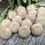 Thumbnail: Summer Soap Series: Sand Dollar Soap