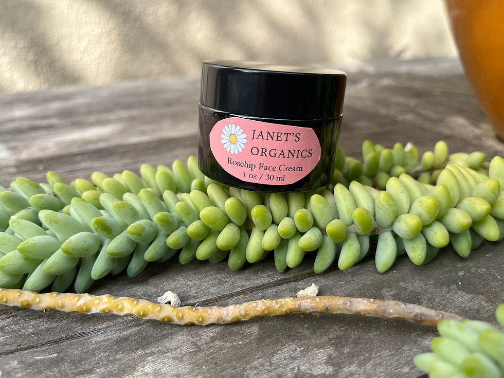 Thumbnail: Rosehip Face Cream - 1 oz