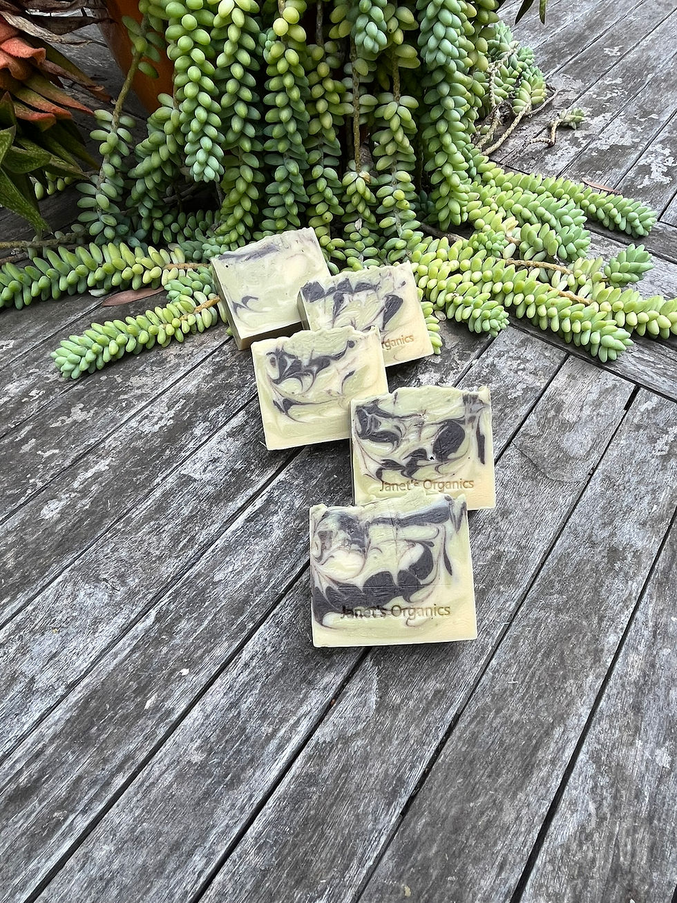 Thumbnail: Chardonnay & Sage Soap