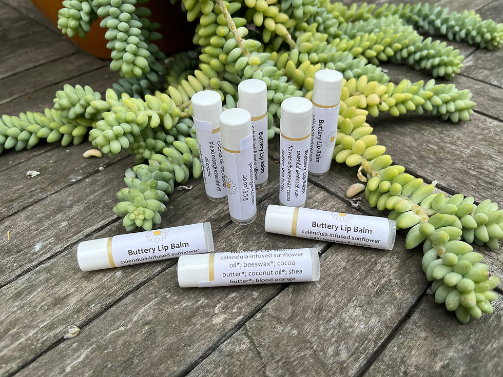Thumbnail: Buttery Lip Balms on teak table with succulent behind