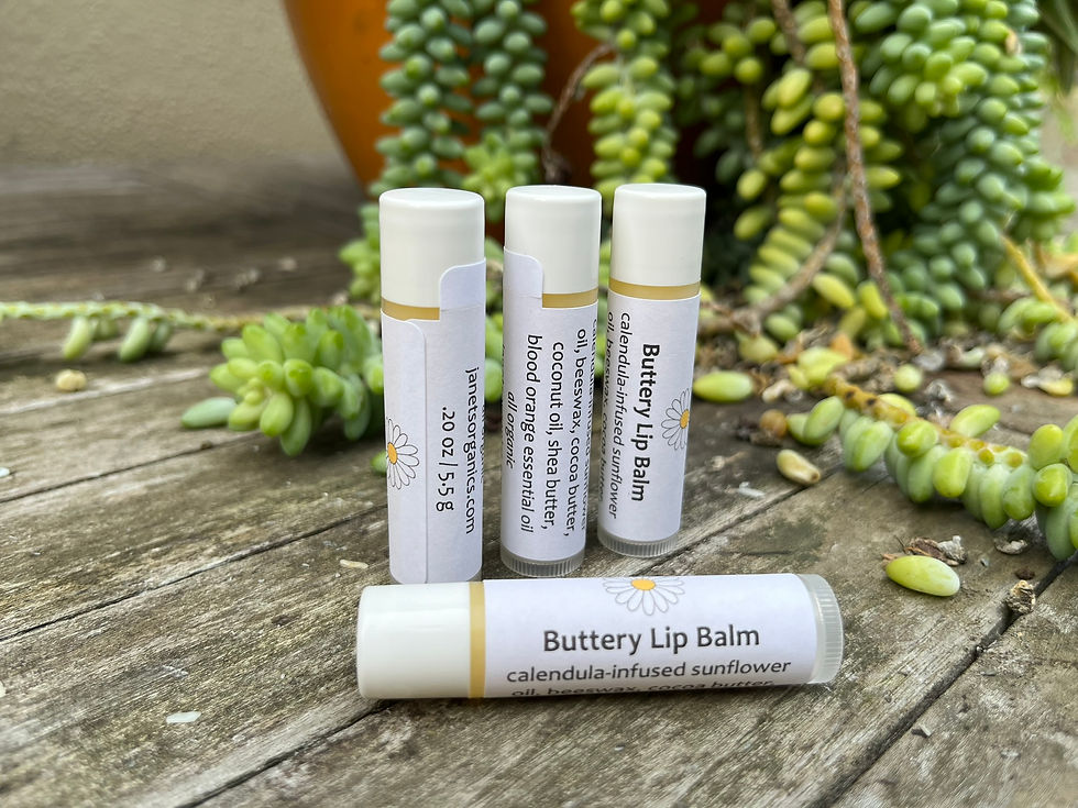 Thumbnail: Four Buttery Lip Balms on teak table with orange pot and succulent behind