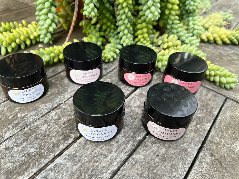 Thumbnail: Rosehip Face Cream - 1 oz