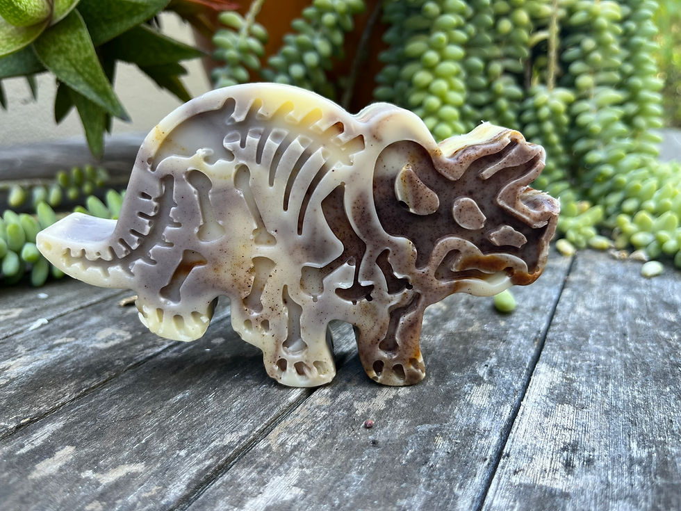 Thumbnail: Dramatic Dinosaur Soap Set