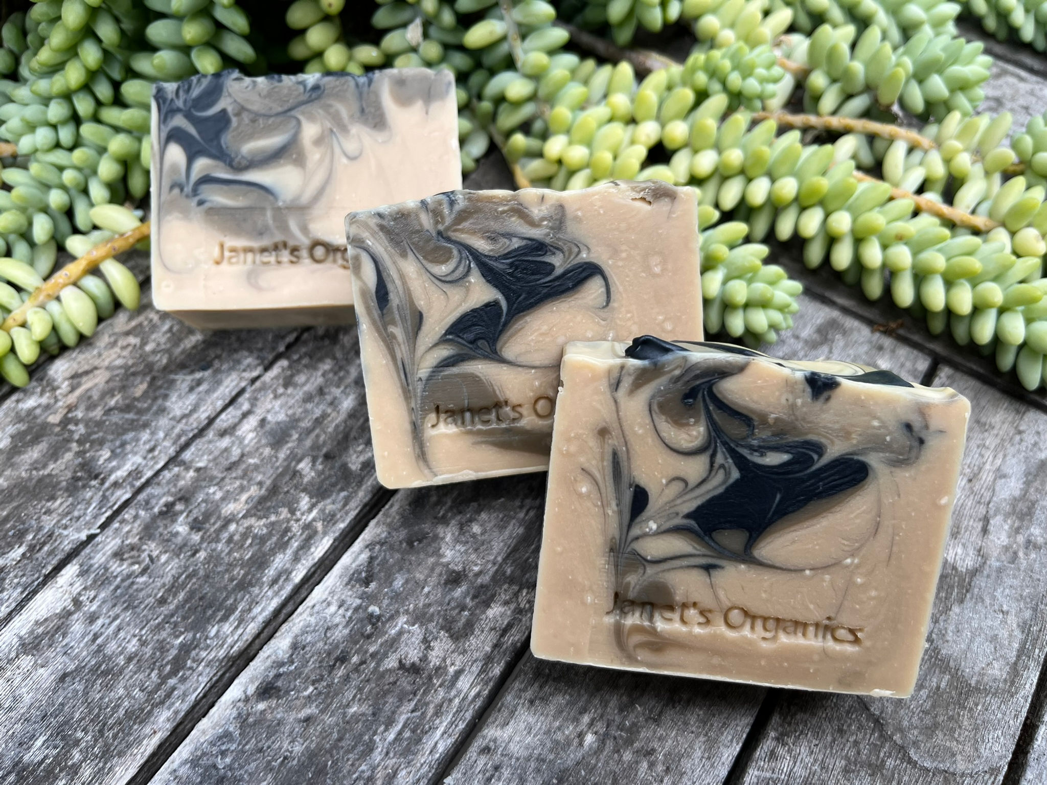Sudsy Spa Soap
