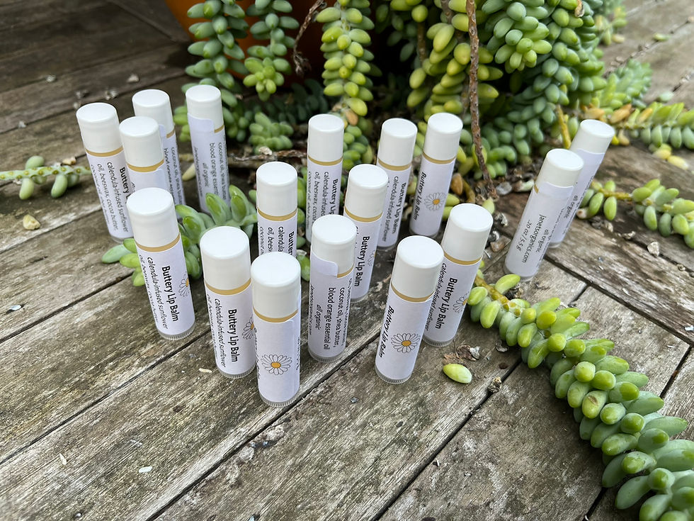 Thumbnail: Buttery Lip Balm tubes on teak table with succulent