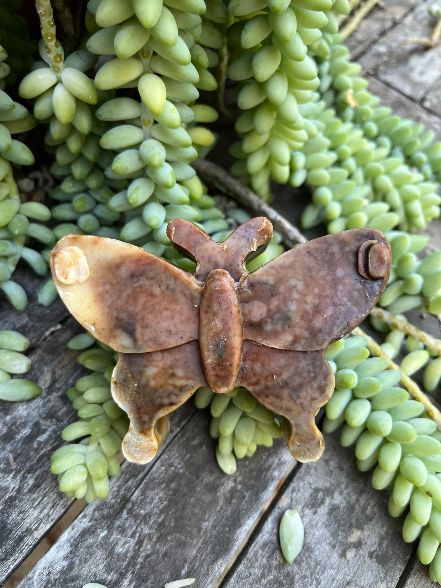 Brown Butterfly Soap