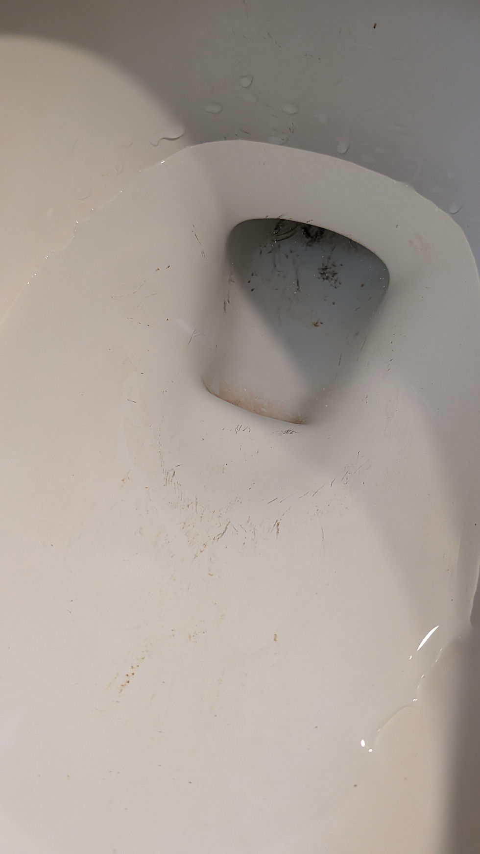 Scratched up Toilet