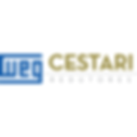 WEG CESTARI KIT DE EJE DE SALIDA SIMPLE   M12 MKS12N