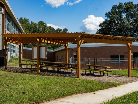 Transforming Outdoor Spaces with Nemas Gardens Landscaping Services