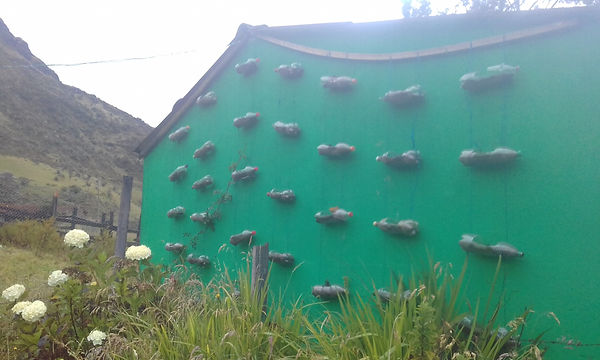 20171117_130020.jpg