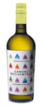 VERMOUTH DRY CANONE OCCIDENTALE.jpg