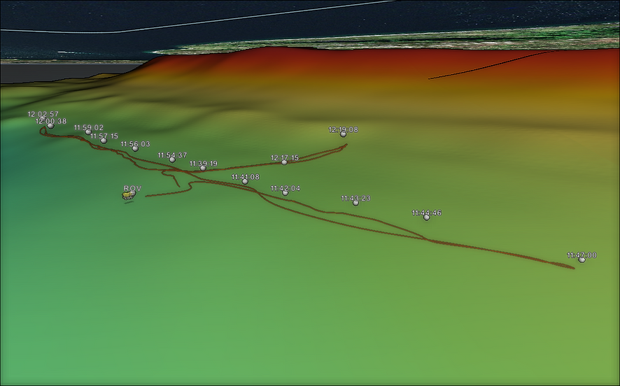 findings_3d (1).png