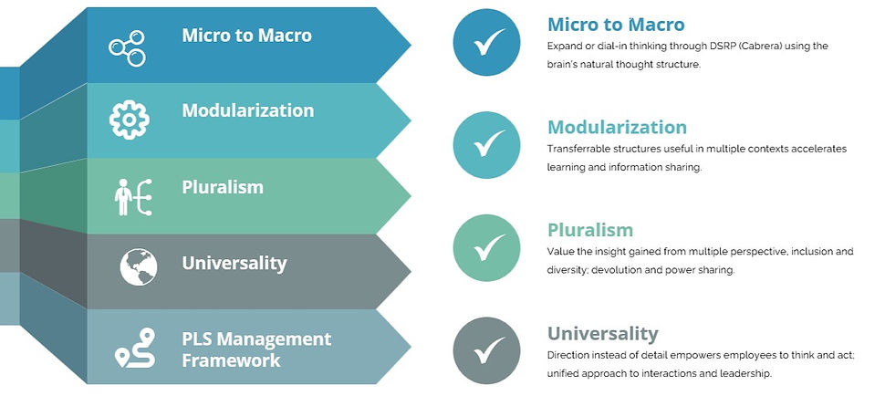 The PLS Management Framework